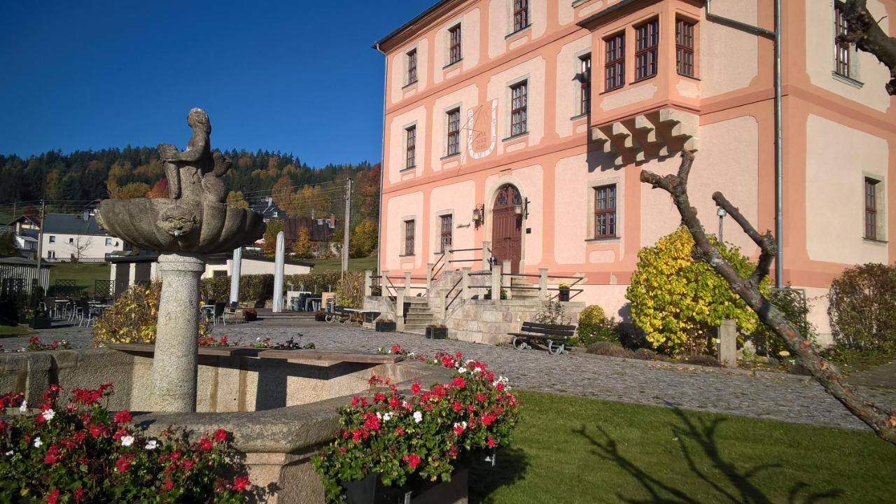 Hotel Garni Schloss Schoenberg Бад-Брамбах Экстерьер фото